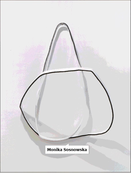 click to enlarge- double click to reduce Monika Sosnowska