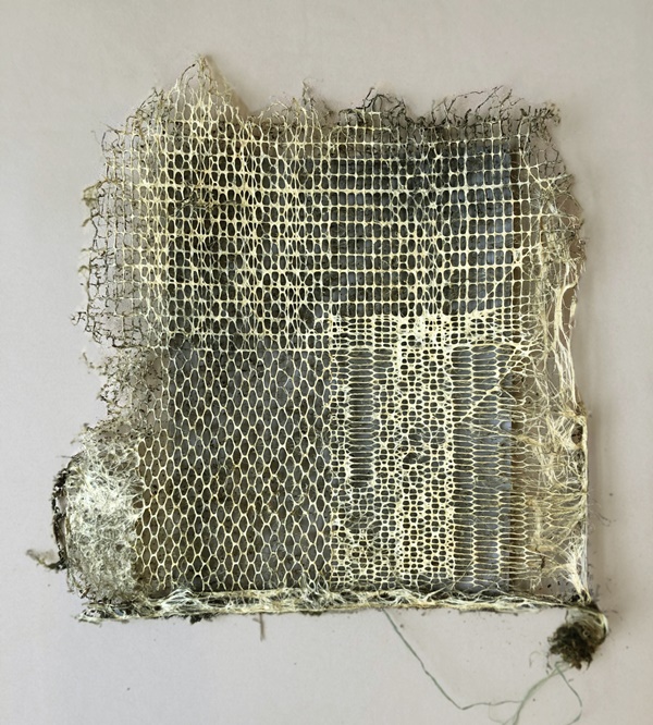 click to enlarge- double click to reduce Diana Scherer, Bound #2, 2021. Grown textile roots system. Framed approx. 50 H x 40 W x 10 D cm
