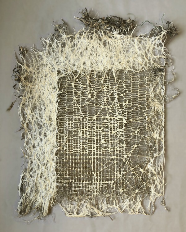 click to enlarge- double click to reduce Diana Scherer, Bound #4, 2021. Grown textile roots system. Framed approx. 50 H x 40 W x 10 D cm