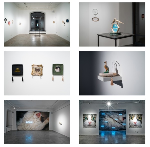 click to enlarge- double click to reduce Alina Glazoun : Seu Plures Hiemes, Installation view