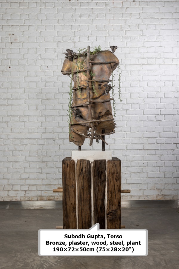 click to enlarge- double click to reduce Subodh Gupta
Torso
Bronze, plaster, wood, steel, plant
190×72×50cm (75×28×20