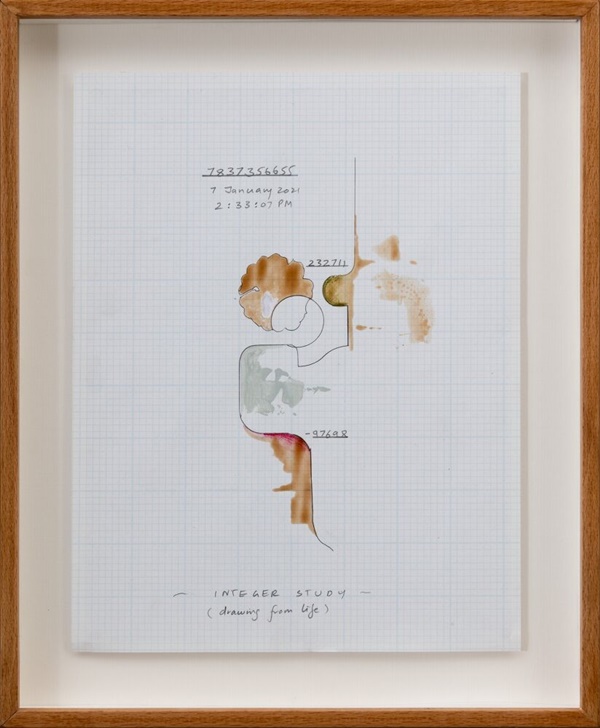 Jitish Kallat,Integer Study (drawing from life)