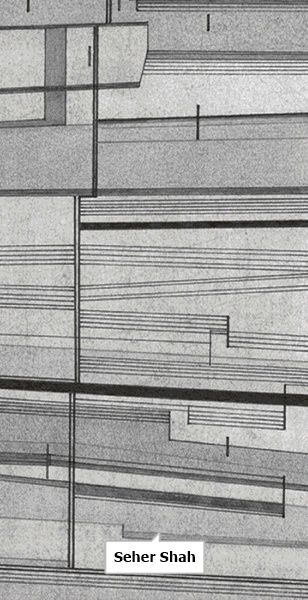 Seher Shah