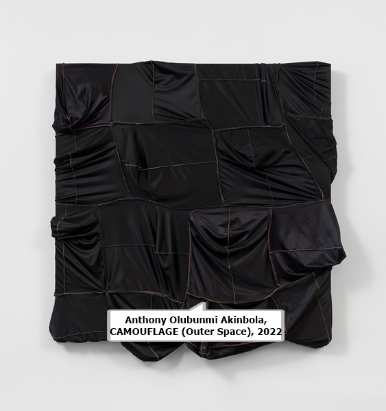 click to enlarge- double click to reduce Anthony Olubunmi Akinbola, CAMOUFLAGE (Outer Space), 2022