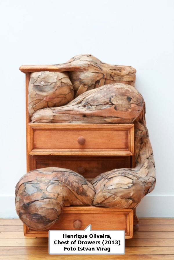 click to enlarge- double click to reduce Henrique Oliveira, Chest of Drowers (2013) Foto Istvan Virag