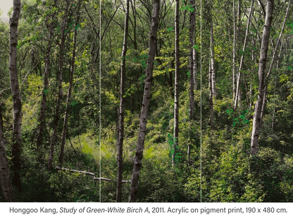 click to enlarge- double click to reduce HONGGOO KANG
Study of Green-White Birch A, 2011
Acrylic on pigment print
190x480cm