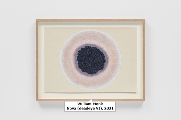 click to enlarge- double click to reduce William Monk
Nova (deadeye VI), 2021