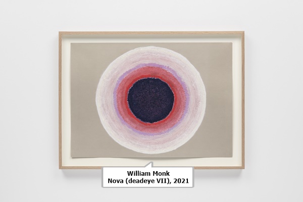 click to enlarge- double click to reduce William Monk
Nova (deadeye VII), 2021