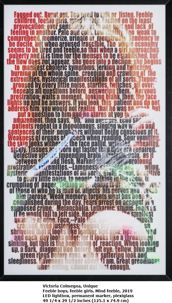 Victoria Colmegna
Feeble boys, feeble girls. Mind feeble, 2019
LED lightbox, permanent marker, plexiglass
49 1/4 x 29 1/2 inches (125.1 x 74.9 cm)
Unique