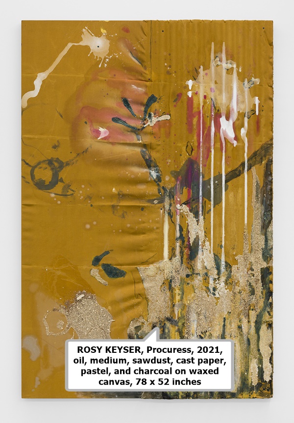 click to enlarge- double click to reduce ROSY KEYSER, Procuress, 2021, oil, medium, sawdust, cast paper, pastel, and charcoal on waxed canvas, 78 x 52 inches
