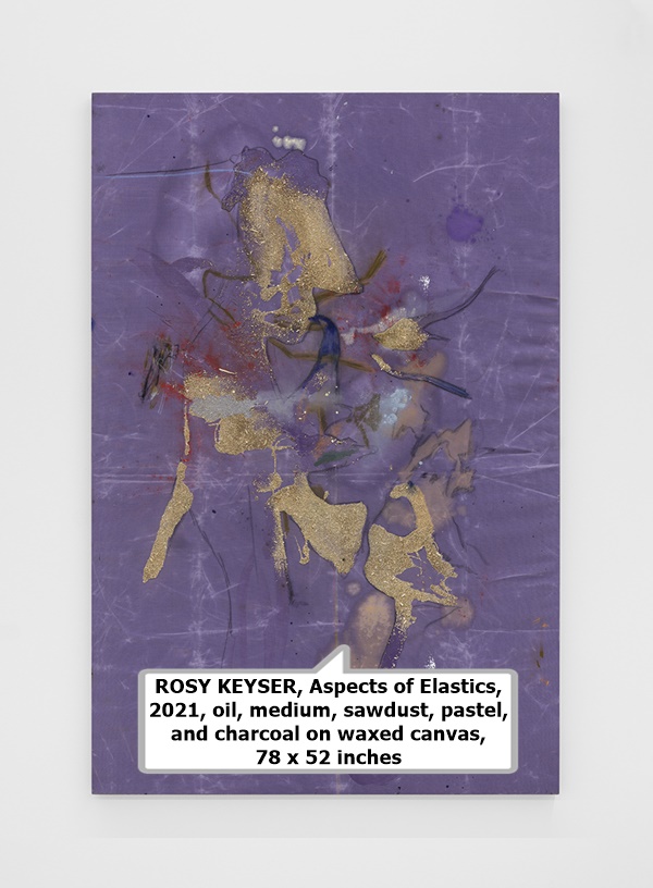 click to enlarge- double click to reduce ROSY KEYSER, Aspects of Elastics, 2021, oil, medium, sawdust, pastel, and charcoal on waxed canvas, 78 x 52 inches