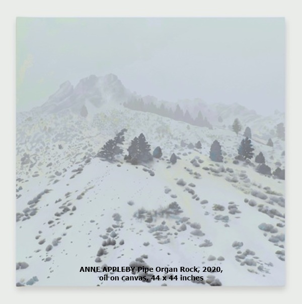 click to enlarge- double click to reduce ANNE APPLEBY Pipe Organ Rock, 2020, oil on canvas, 44 x 44 inches