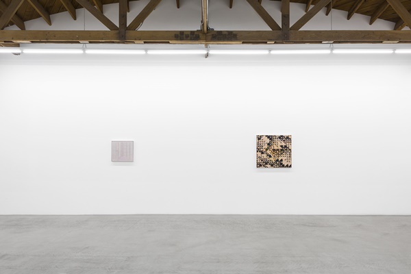 click to enlarge- double click to reduce Xylor Jane,Installation view