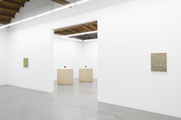 click to enlarge- double click to reduce Xylor Jane,,Installation view