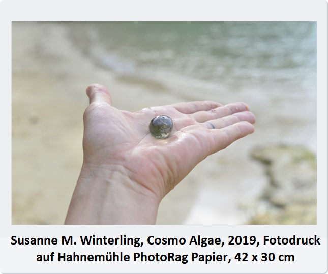 SUSANNE M. WINTERLING