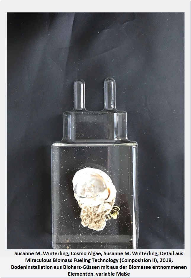 SUSANNE M. WINTERLING