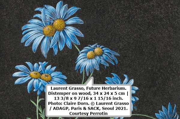 click to enlarge- double click to reduce Laurent Grasso, Future Herbarium. Distemper on wood, 34 x 24 x 5 cm | 13 3/8 x 9 7/16 x 1 15/16 inch.
Photo: Claire Dorn. © Laurent Grasso / ADAGP, Paris & SACK, Seoul 2021. Courtesy Perrotin
