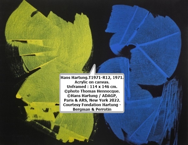 click to enlarge- double click to reduce Hans Hartung.T1971-R12, 1971. Acrylic on canvas. Unframed : 114 x 146 cm. ©photo Thomas Hennocque.
©Hans Hartung / ADAGP, Paris & ARS, New York 2022. Courtesy Fondation Hartung -
Bergman & Perrotin