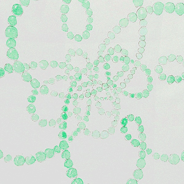 Jean-Michel Othoniel Kiku - Moegiiro (Fresh onion color) (detail), 2020. Monotype on Japanese paper.Unframed : 14 3/16 x 9 7/16 inch / Unframed : 36 x 24 cm. Courtesy of the artist & Perrotin.