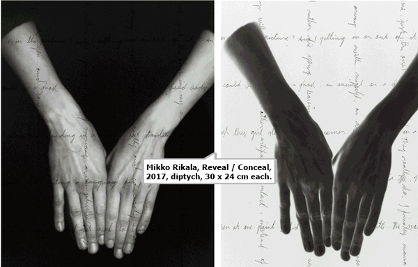 click to enlarge- double click to reduce Mikko Rikala, Reveal / Conceal, 2017, diptych, 30 x 24 cm each.