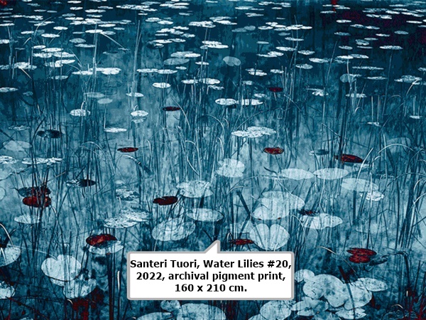 click to enlarge- double click to reduce Santeri Tuori, Water Lilies #20, 2022, archival pigment print, 160 x 210 cm.