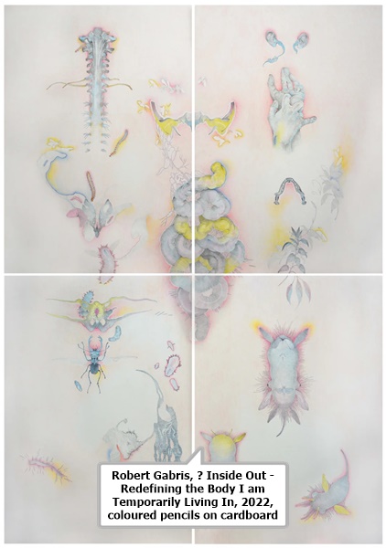 click to enlarge- double click to reduce Robert Gabris, Ⅰ Inside Out - Redefining the Body I am Temporarily Living In, 2022, coloured pencils on cardboard,
