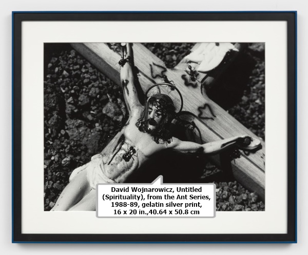 David Wojnarowicz, Untitled (Spirituality), from the Ant Series, 1988-89, gelatin silver print, 16 x 20 in.,
40.64 x 50.8 cm