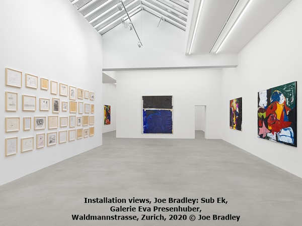 click to enlarge- double click to reduce Installation views, Joe Bradley: Sub Ek, Galerie Eva Presenhuber, Waldmannstrasse, Zurich, 2020 © Joe Bradley