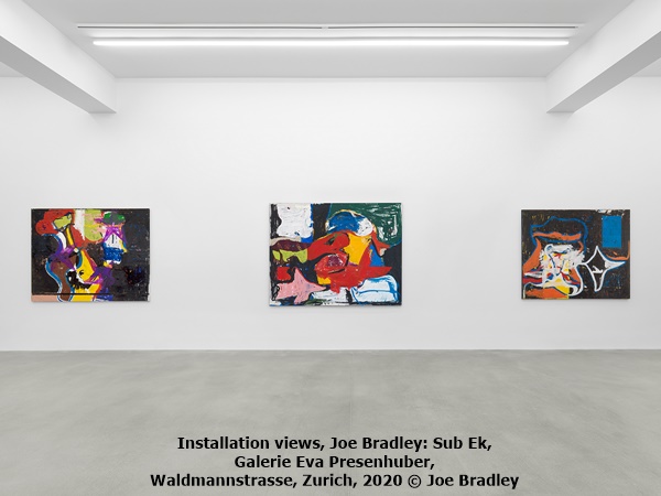 click to enlarge- double click to reduce Installation views, Joe Bradley: Sub Ek, Galerie Eva Presenhuber, Waldmannstrasse, Zurich, 2020 © Joe Bradley