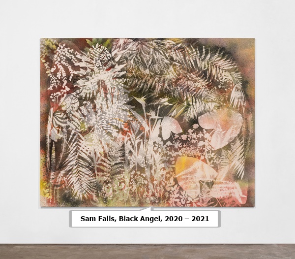 click to enlarge- double click to reduce Sam Falls, Black Angel, 2020 – 2021