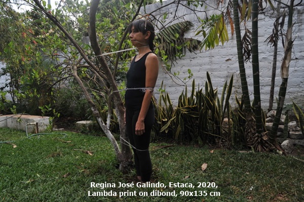 click to enlarge- double click to reduce Regina José Galindo, Estaca, 2020, Lambda print on dibond, 90x135 cm