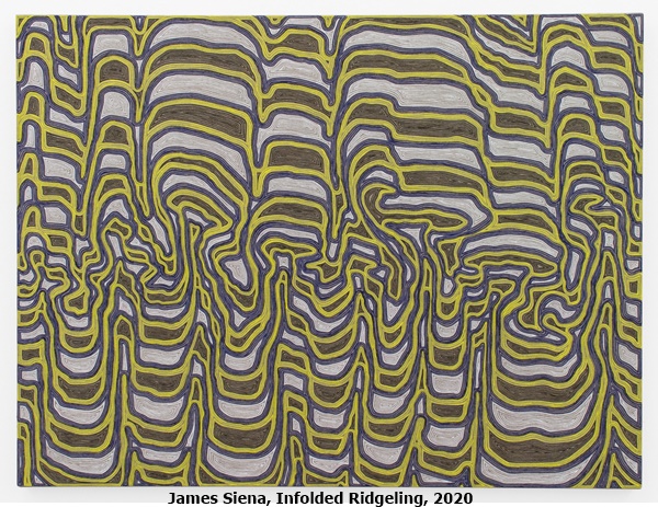 James Siena, Infolded Ridgeling, 2020