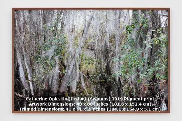 click to enlarge- double click to reduce Catherine Opie, Untitled #1 (Swamps)
2019
Pigment print
Artwork Dimensions: 40 x 60 inches (101.6 x 152.4 cm)
Framed Dimensions: 41 x 61 x 2 inches (104.1 x 154.9 x 5.1 cm)