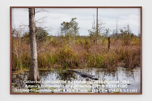 click to enlarge- double click to reduce Catherine Opie,Untitled #2 (Swamps)
2019
Pigment print
Artwork Dimensions: 40 x 60 inches (101.6 x 152.4 cm)
Framed Dimensions: m41 x 61 x 2 inches (104.1 x 154.9 x 5.1 cm)