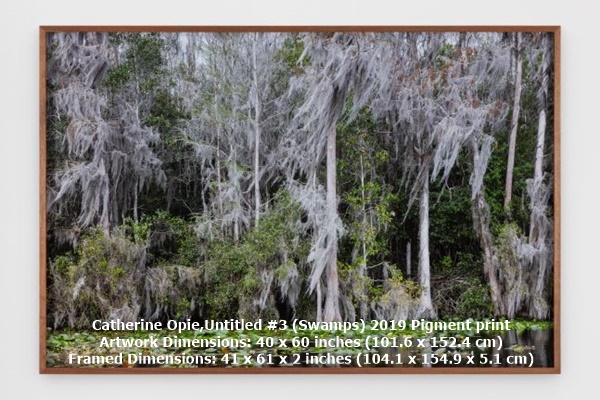 click to enlarge- double click to reduce Catherine Opie,Untitled #3 (Swamps)
2019
Pigment print
Artwork Dimensions: 40 x 60 inches (101.6 x 152.4 cm)
Framed Dimensions: 41 x 61 x 2 inches (104.1 x 154.9 x 5.1 cm)