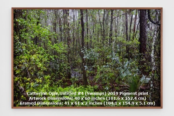 click to enlarge- double click to reduce Catherine Opie,Untitled #4 (Swamps)
2019
Pigment print
Artwork Dimensions: 40 x 60 inches (101.6 x 152.4 cm)
Framed Dimensions: 41 x 61 x 2 inches (104.1 x 154.9 x 5.1 cm)