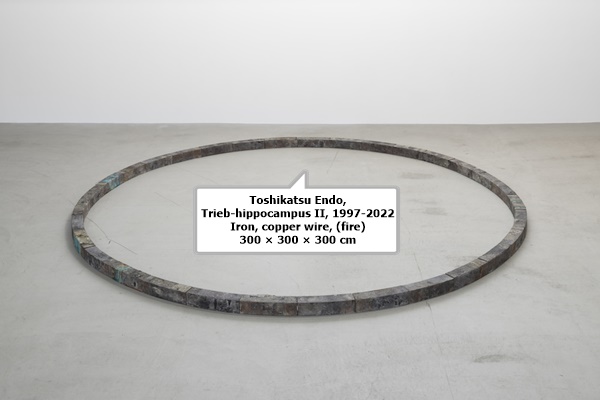 click to enlarge- double click to reduce Toshikatsu Endo, Trieb-hippocampus II, 1997-2022
Iron, copper wire, (fire)
300 × 300 × 300 cm