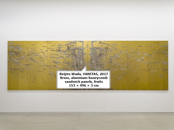 click to enlarge- double click to reduce Reijiro Wada, VANITAS, 2017
Brass, aluminum honeycomb sandwich panels, fruits
153 × 496 × 3 cm