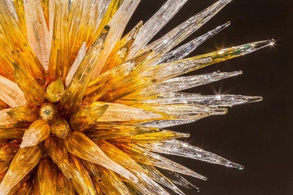 click to enlarge- double click to reduce Dale Chihuly, Golden Umber Icicle Chandelier, 2015, 65 x 51 x 48 inches