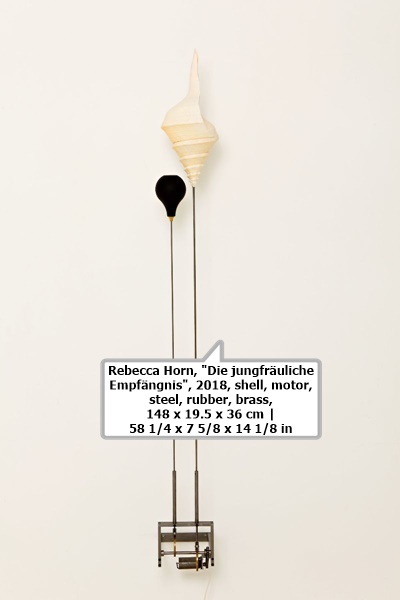 click to enlarge- double click to reduce Rebecca Horn, Die jungfräuliche Empfängnis, 2018, shell, motor, steel, rubber, brass, 148 x 19.5 x 36 cm | 58 1/4 x 7 5/8 x 14 1/8 in