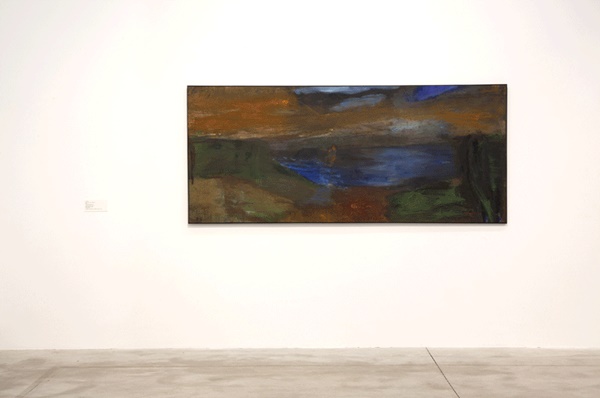 click to enlarge- double click to reduce Juan Uslé : EYE AND LANDSCAPE