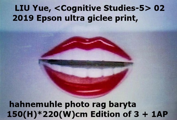 Liu Yue, <Cognitive Studies-5> 02 2019
 Epson ultra giclee print, hahnemuhle photo rag baryta
 150(H)*220(W)cm
 Edition of 3 + 1AP