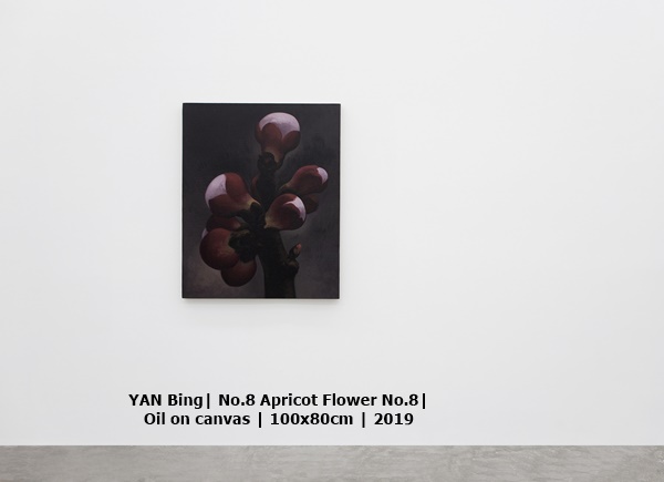 click to enlarge- double click to reduce YAN Bing| No.8 Apricot Flower No.8| Oil on canvas | 100x80cm | 2019