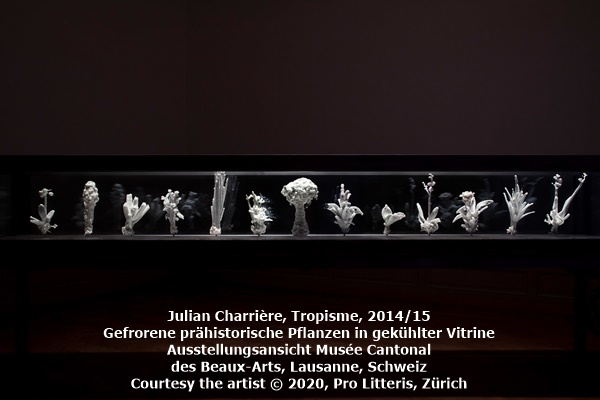 Julian Charrière, Tropisme, 2014/15
Gefrorene prähistorische Pflanzen in gekühlter Vitrine
Ausstellungsansicht Musée Cantonal des Beaux-Arts, Lausanne, Schweiz
Courtesy the artist © 2020, Pro Litteris, Zürich