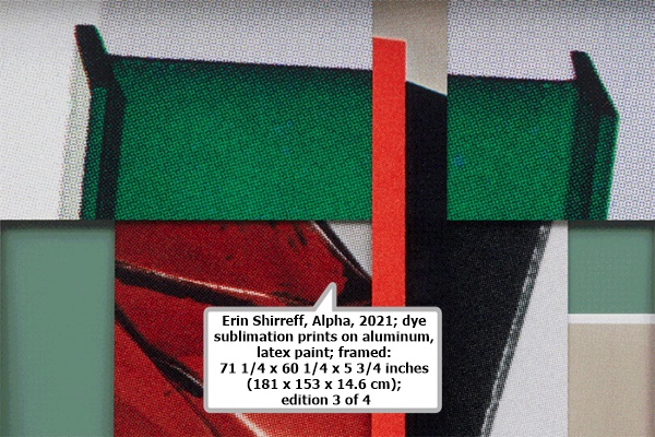 click to enlarge- double click to reduce Erin Shirreff, Alpha, 2021; dye sublimation prints on aluminum, latex paint; framed: 71 1/4 x 60 1/4 x 5 3/4 inches (181 x 153 x 14.6 cm); edition 3 of 4