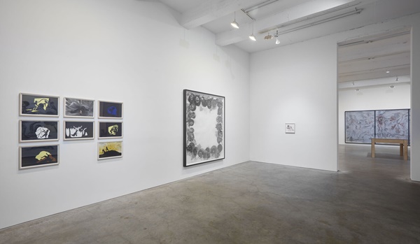 Kara Walker, 
Installation view