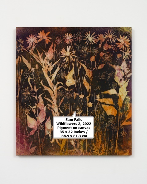 Sam Falls
Wildflowers 2, 2022
Pigment on canvas
35 x 32 inches / 88.9 x 81.3 cm