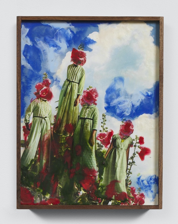 Marnie Weber : The Sea Witch and Other Stories