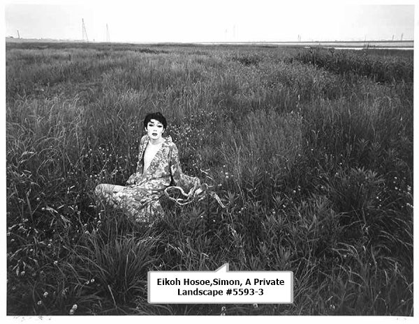 click to enlarge- double click to reduce Eikoh Hosoe,Simon, A Private Landscape #5593-3