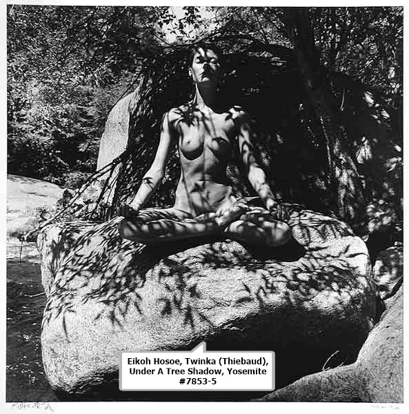 click to enlarge- double click to reduce Eikoh Hosoe, Twinka (Thiebaud), Under A Tree Shadow, Yosemite #7853-5
